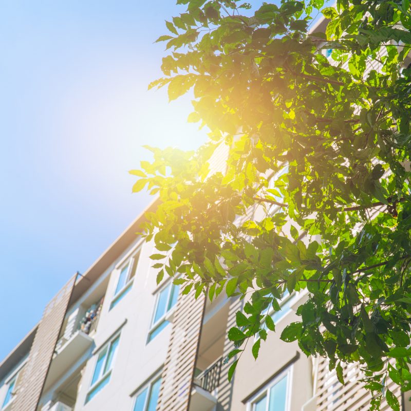 Energy saving tips in the summer